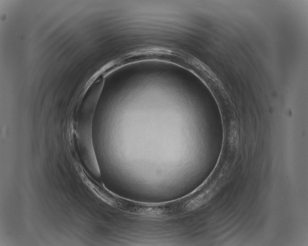 X0000087531321200704271157
