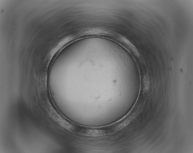 X0000087531322200704271157