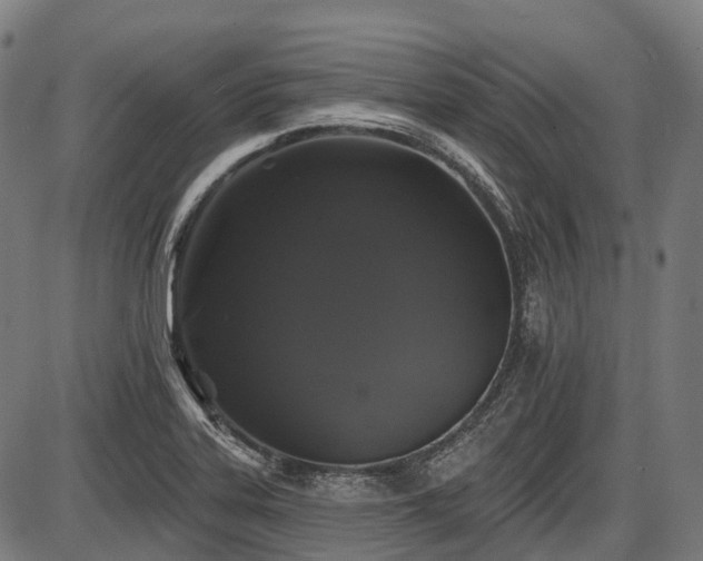 X0000087531323200704271157