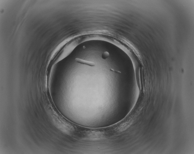 X0000087531324200704271157