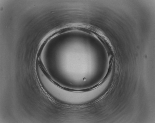 X0000087531328200704271157