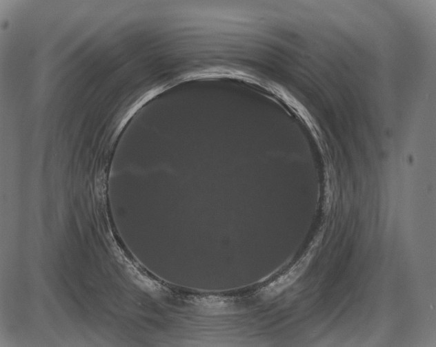 X0000087531329200704271157