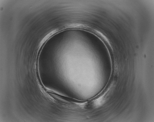 X0000087531330200704271157
