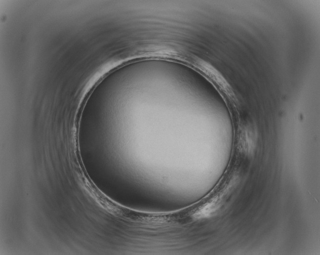 X0000087531332200704271157