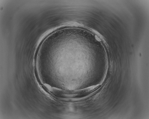 X0000087531335200704271157