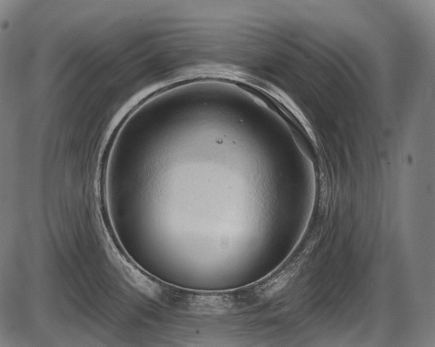 X0000087531339200704271157