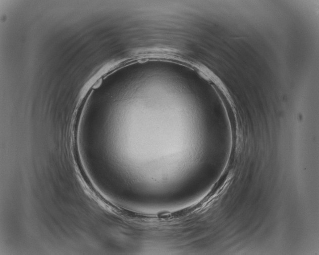 X0000087531341200704271157