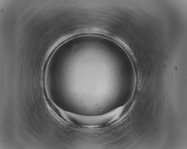 X0000087531342200704271157