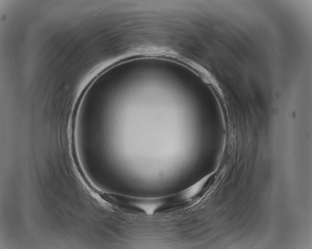 X0000087531343200704271157