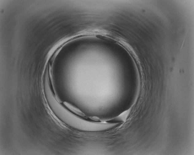 X0000087531344200704271157
