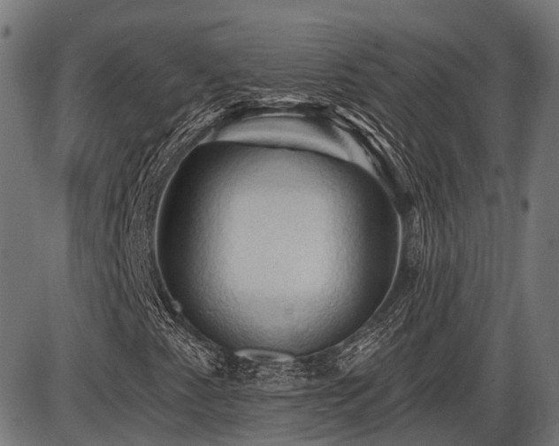 X0000087531345200704271157