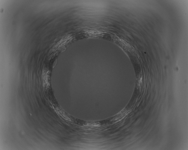 X0000087531346200704271157