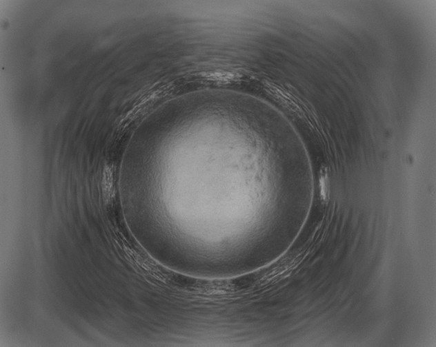 X0000087531347200704271157