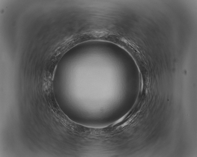 X0000087531349200704271156