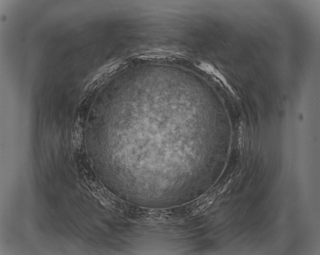 X0000087531350200704271156
