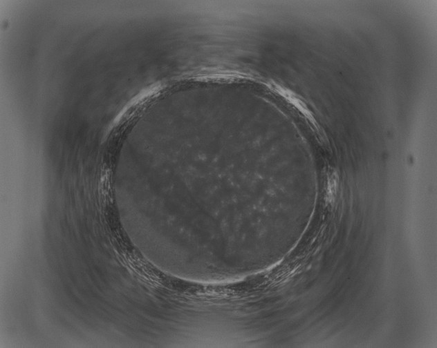 X0000087531351200704271156