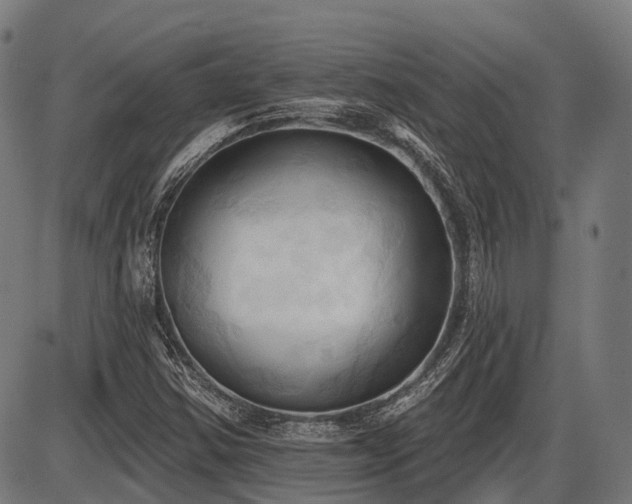 X0000087531354200704271156
