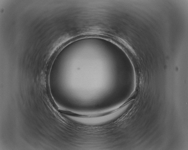 X0000087531356200704271156