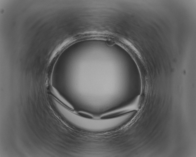 X0000087531357200704271156