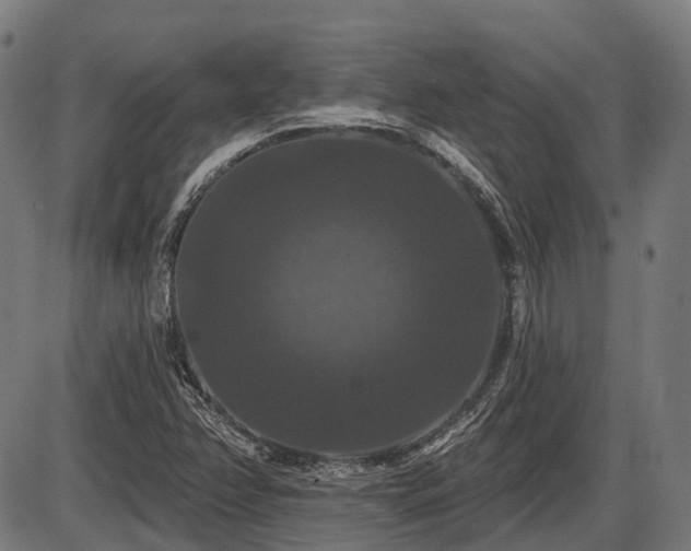 X0000087531358200704271156