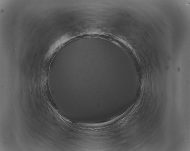 X0000087531359200704271156