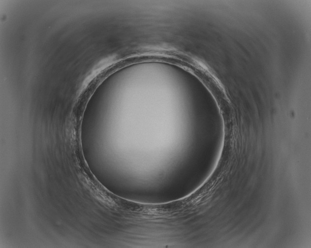 X0000087531360200704271156