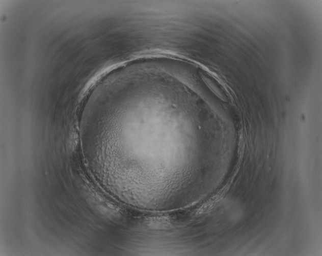 X0000087531363200704271156
