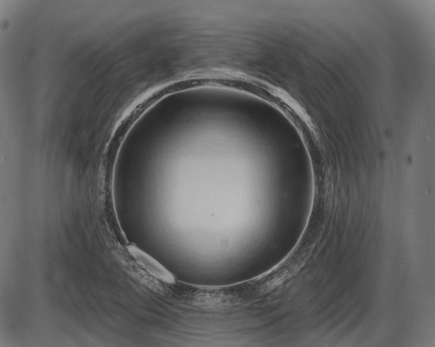 X0000087531364200704271156
