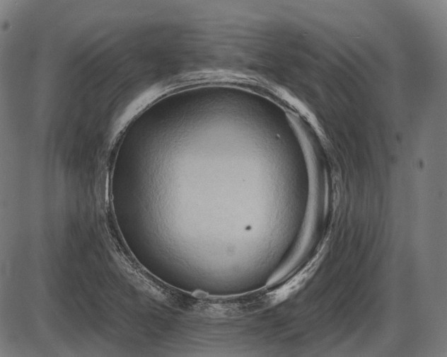 X0000087531365200704271156