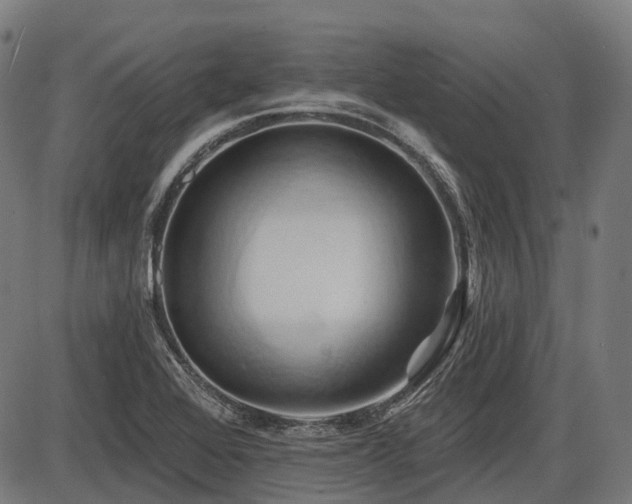X0000087531368200704271156
