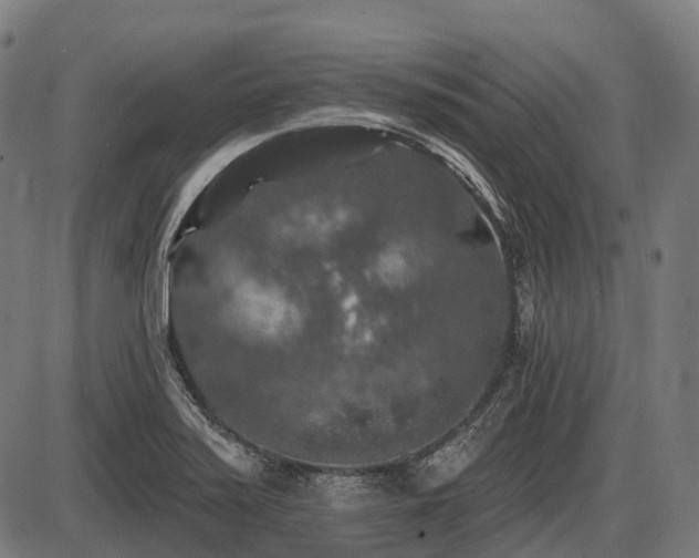 X0000087531371200704271156