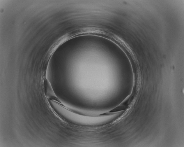 X0000087531377200704271156