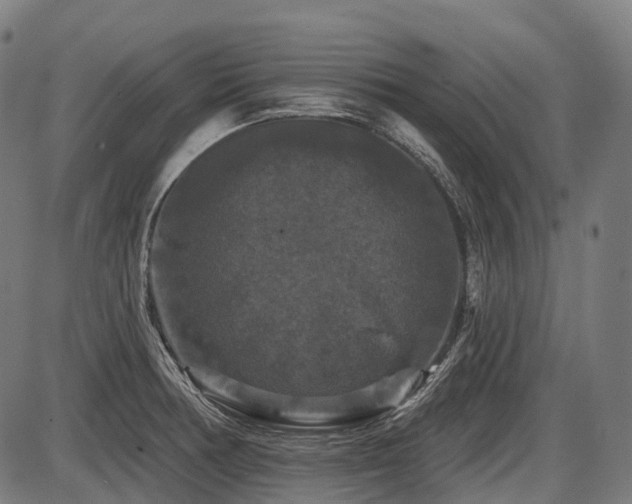 X0000087531378200704271156