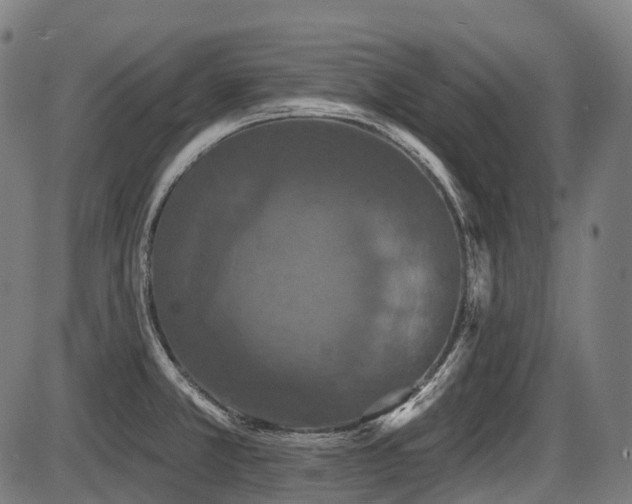 X0000087531381200704271156