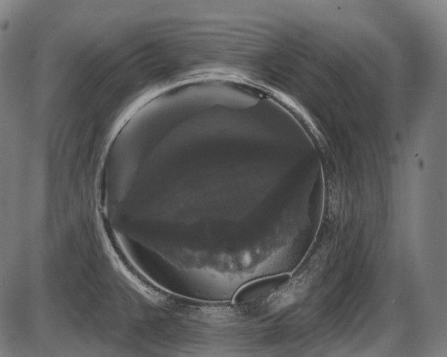 X0000087531383200704271156