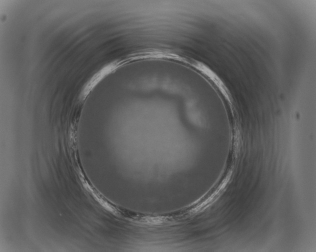 X0000087531385200704271156