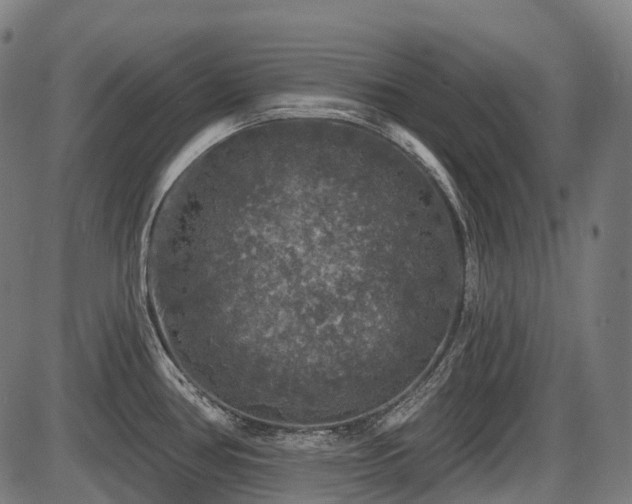 X0000087531386200704271156