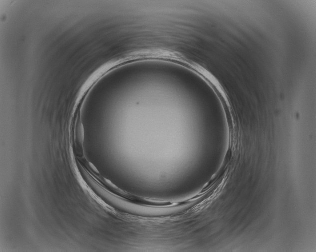 X0000087531389200704271156