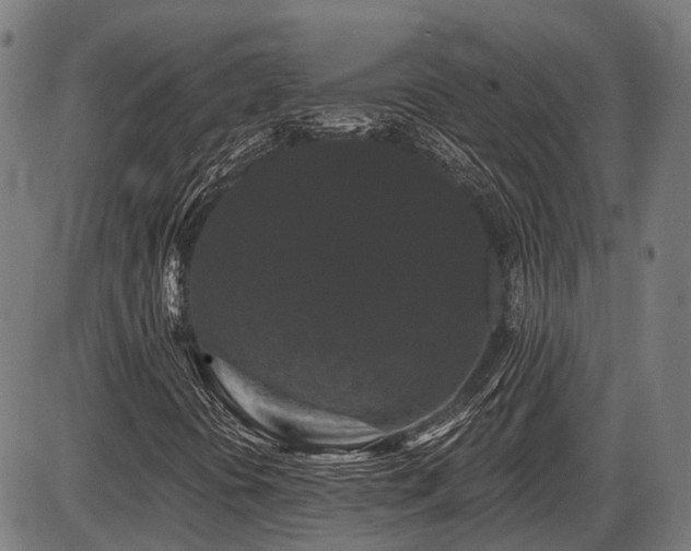 X0000087531394200704271155