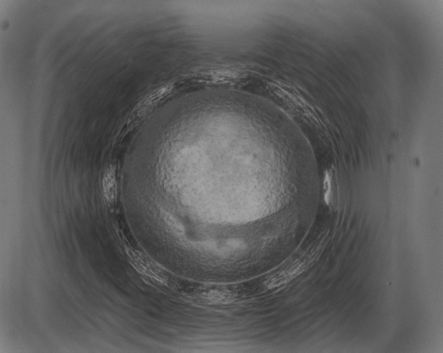 X0000087531395200704271155