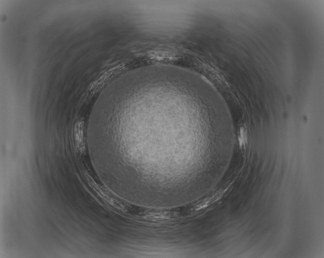 X0000087531396200704271155