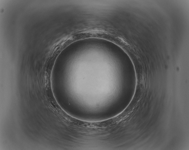 X0000087531398200704271155