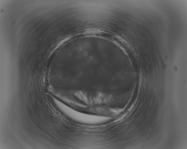X0000087531401200704271155
