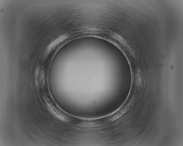 X0000087531402200704271155
