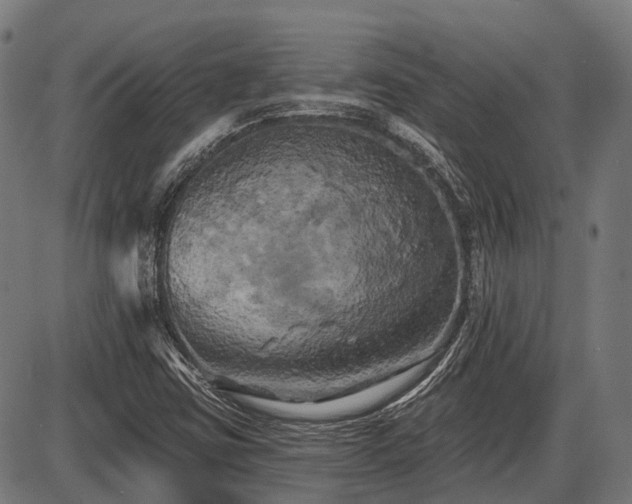 X0000087531403200704271155