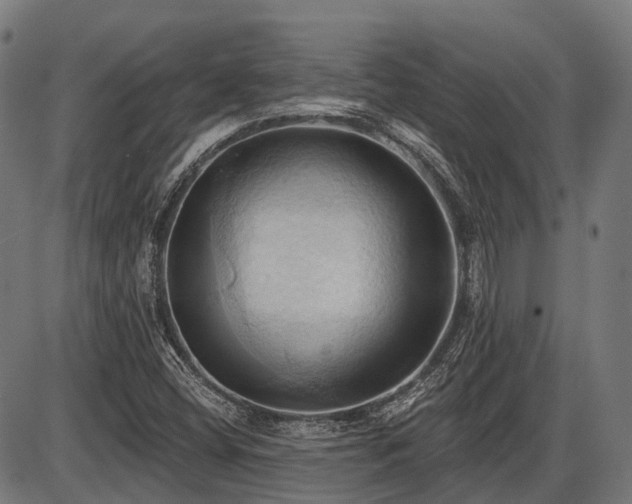 X0000087531404200704271155
