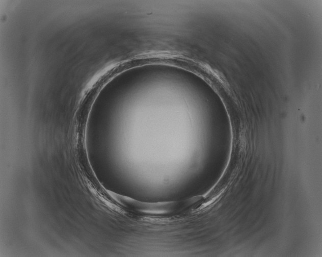 X0000087531406200704271155