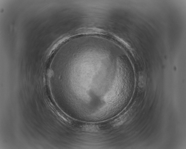 X0000087531407200704271155