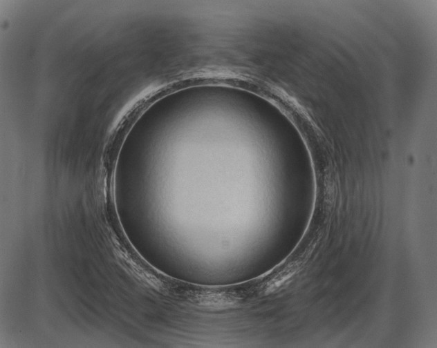 X0000087531408200704271155