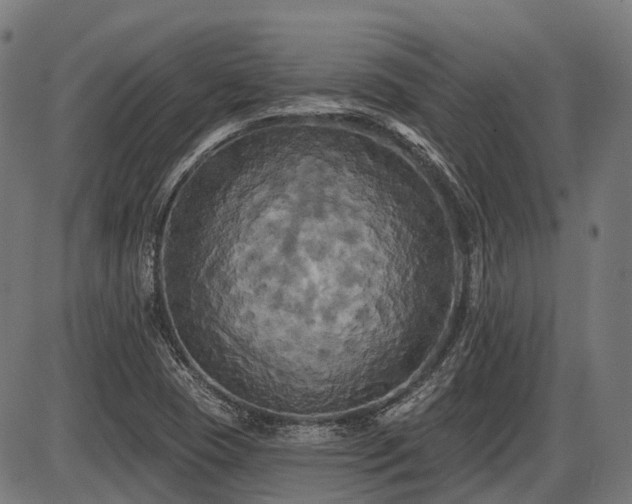 X0000087531409200704271155